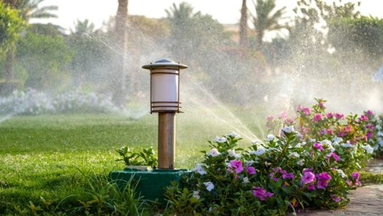 Sprinkler system watering flowers